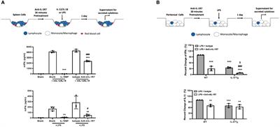 An antibody to IL-1 receptor 7 protects mice from LPS-induced tissue and systemic inflammation